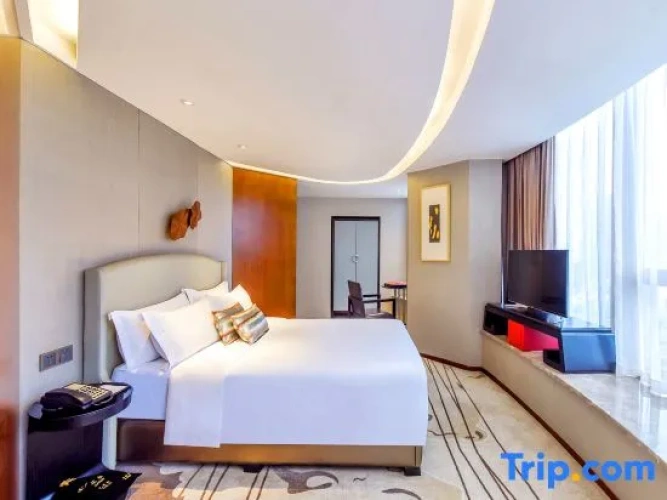 Standard Double room with city view