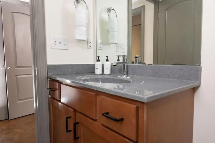 Historic 1 BR apt With Exposed Brick Loft Downtown