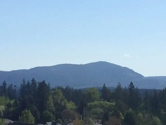 Comfort Double Suite with mountain view