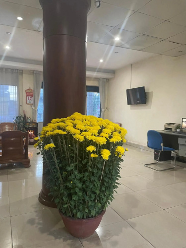 Hung Vuong Hotel