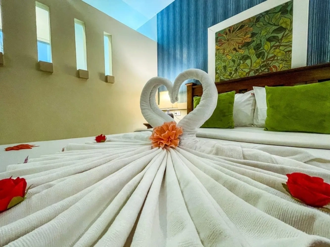 Deluxe Basement room