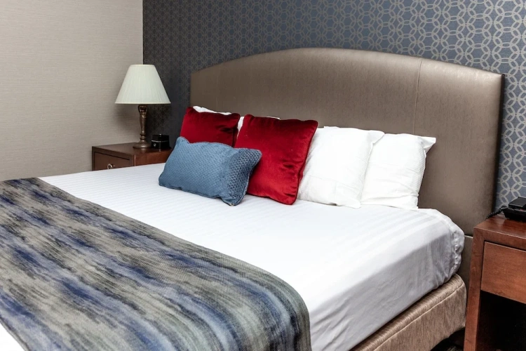 Deluxe Double Suite