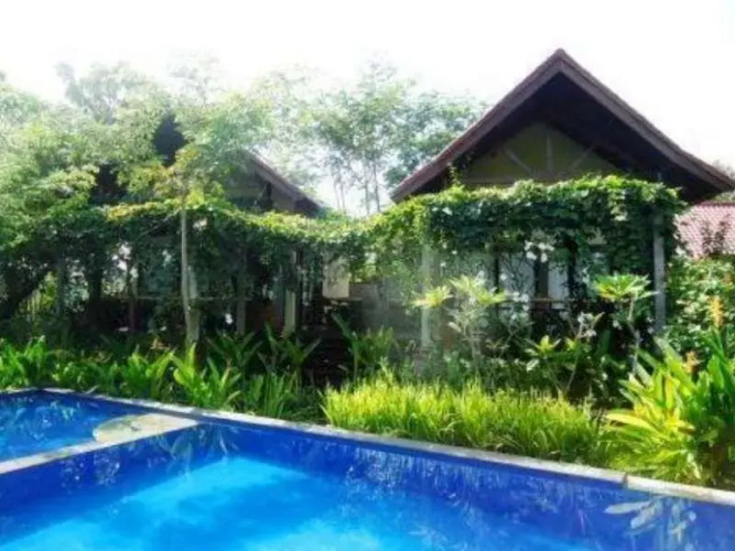 Lovina Ecolodge