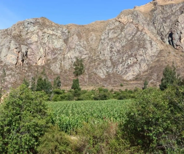 Standard Double room with mountain view