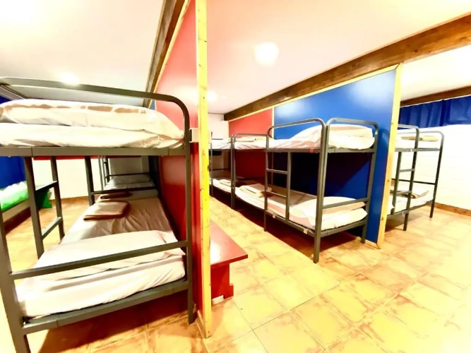 Bed in Dorm