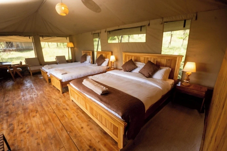 Deluxe Quadruple room