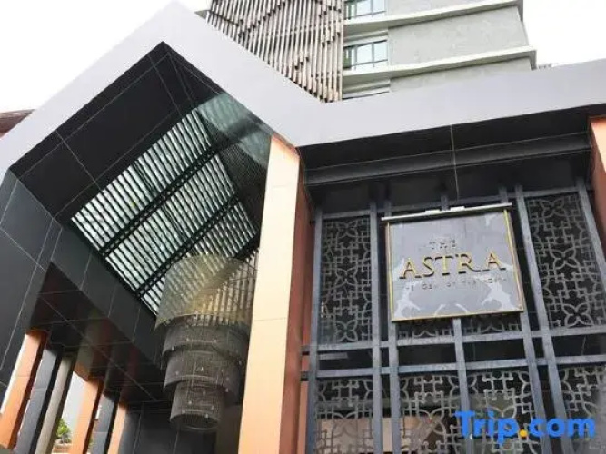 Luxury Apartment in Down Town
