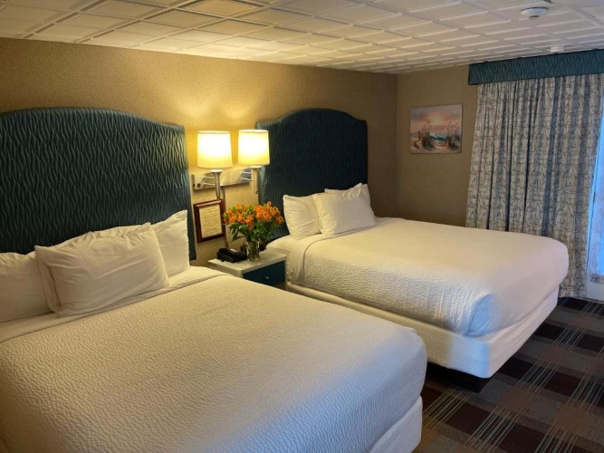 Premium Double room