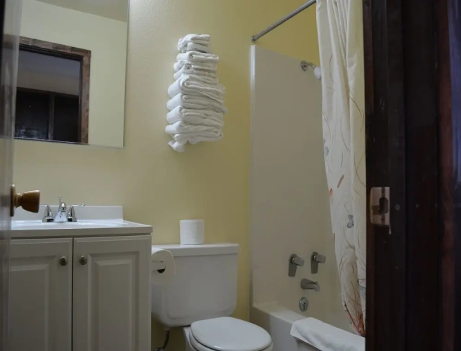 1 Bedroom Suite with balcony