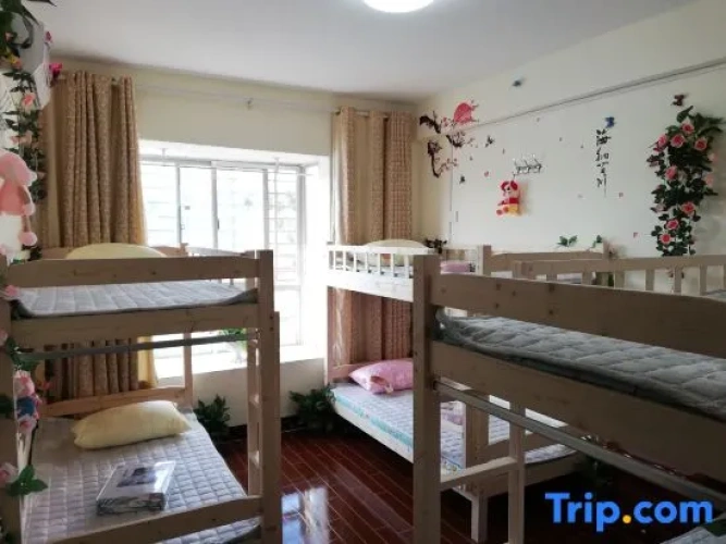 Bed in Dorm