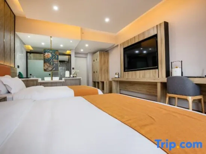 Standard Double room with city view