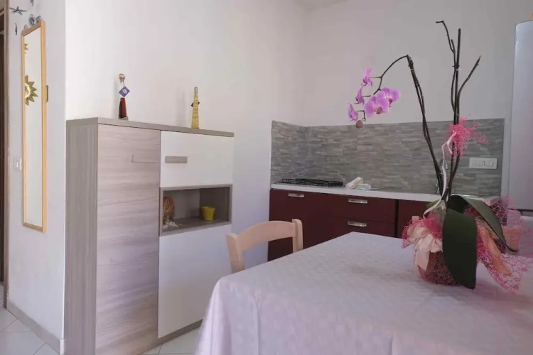 Economy Apartment