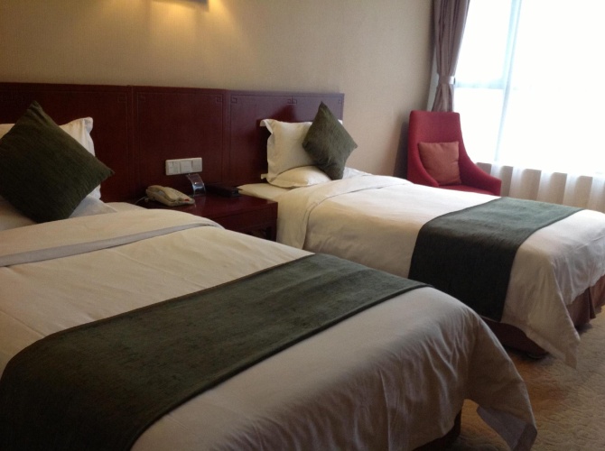Standard Double room with balcony and with view