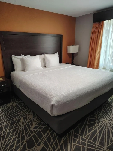 1 Bedroom Suite