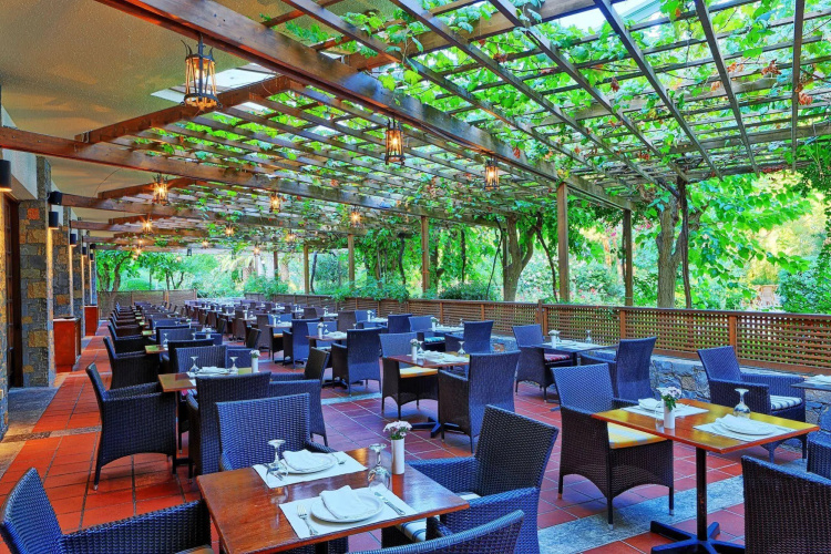 Apollonia Beach Resort & Spa photo 17