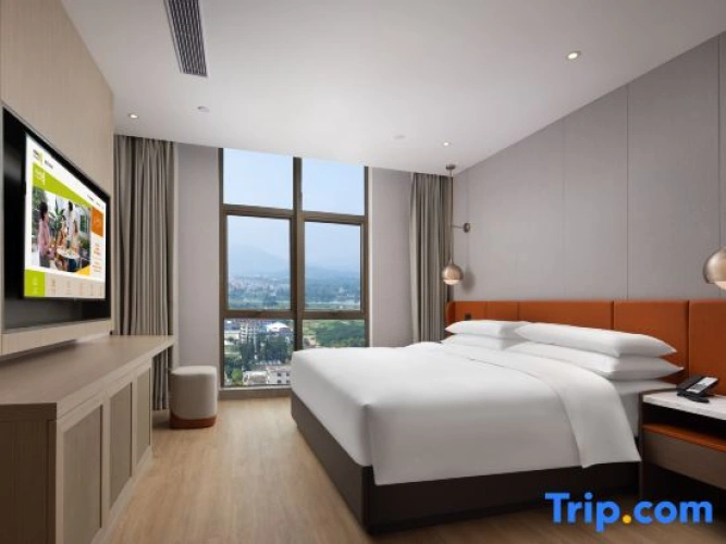 1 Bedroom Suite