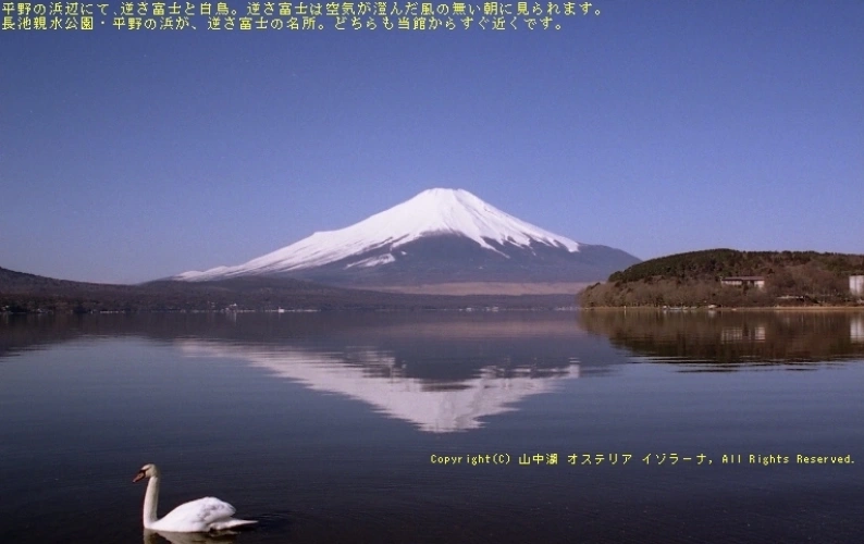 Standard Twin room with mountain view