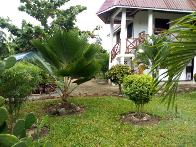 Cottage