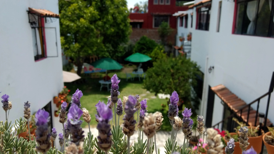 Hotel Petra