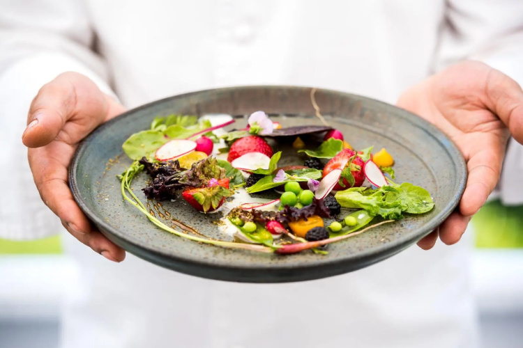 Mayflower Inn & Spa, Auberge Resorts Collection photo 8