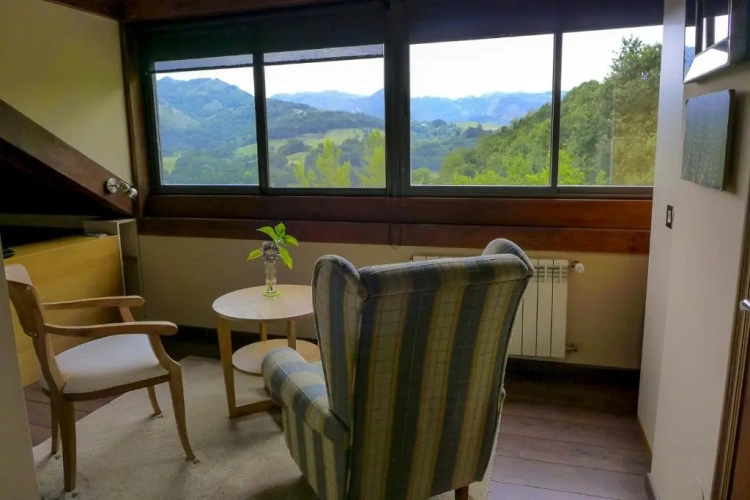 Superior Double room with mountain view