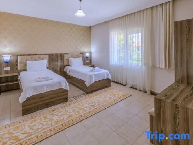 1 Bedroom Villa with balcony and with view