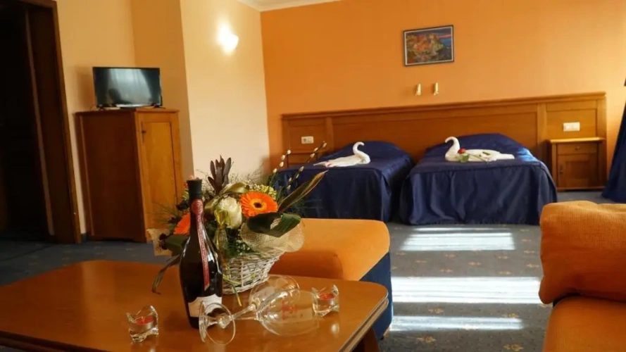 Deluxe Twin room with balcony and with view