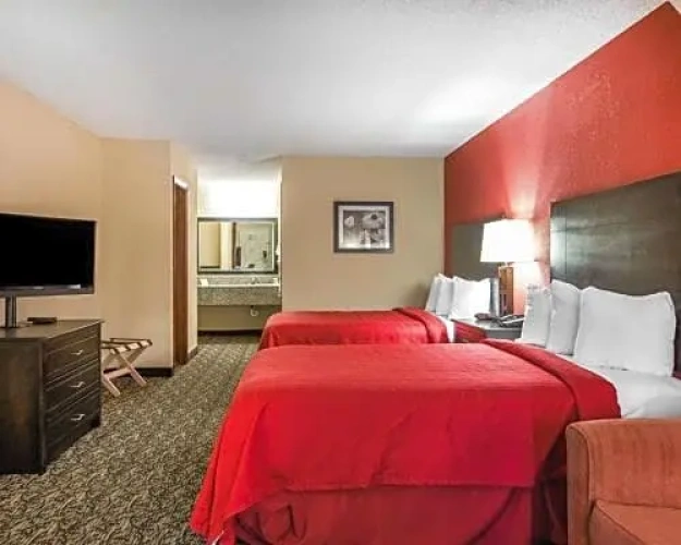 Quadruple Suite