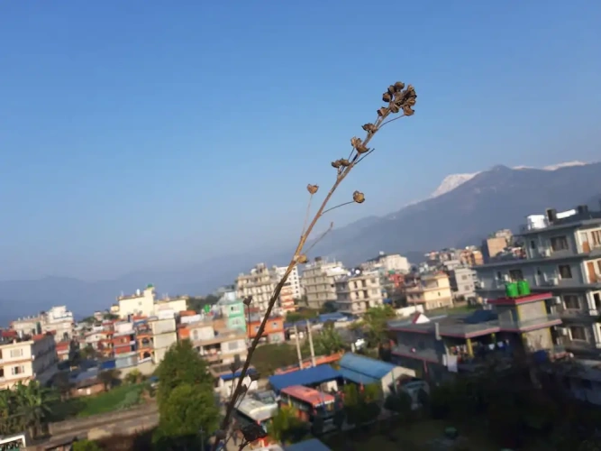 Deluxe Double room with mountain view