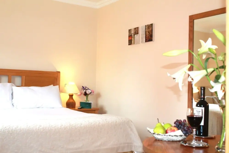 Classic Twin room