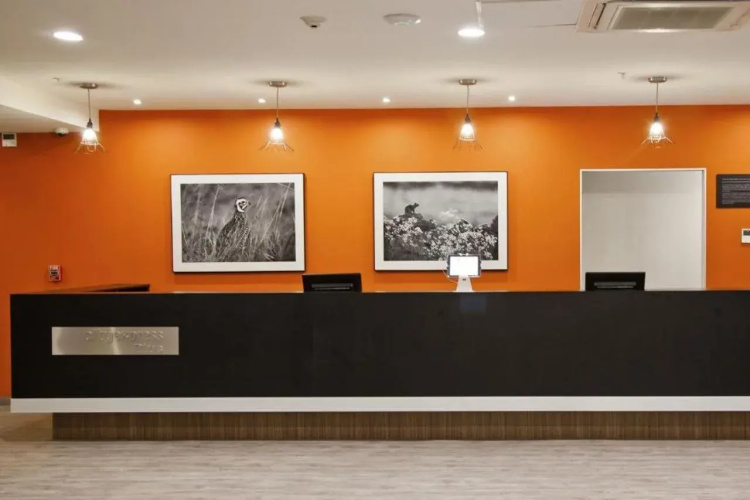 City Express Plus by Marriott Monterrey Nuevo Sur