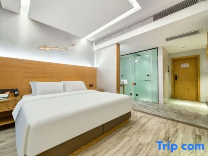 Standard Twin room with view