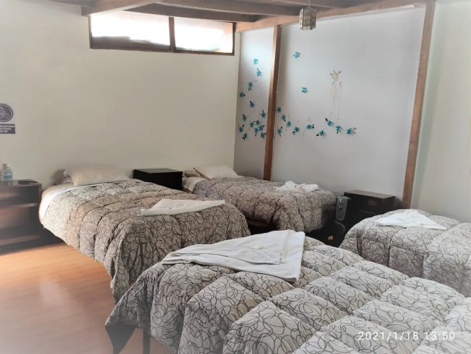 Standard Quadruple room