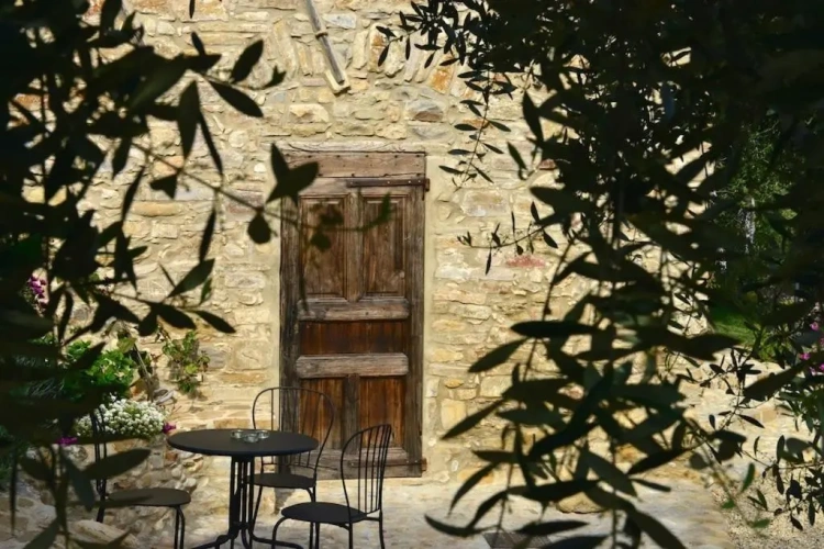 Standard Double room with garden view