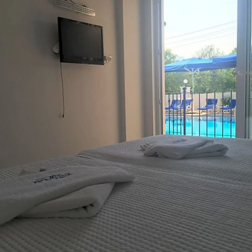 Standard Double room with balcony and with view
