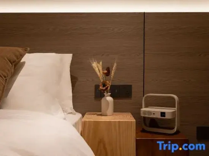 Standard Double room with mountain view