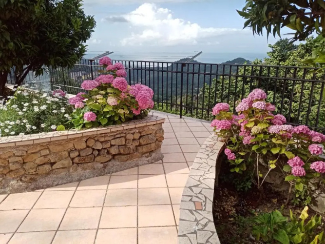 La vecchia fattoria