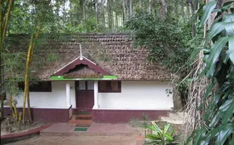 Orchid Resort