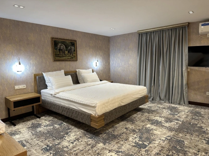 1 Bedroom Suite