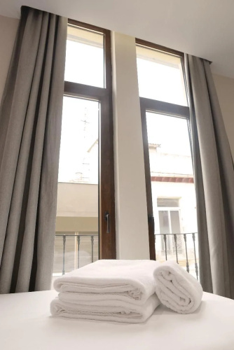 Apartamentos Mesones 18 3000