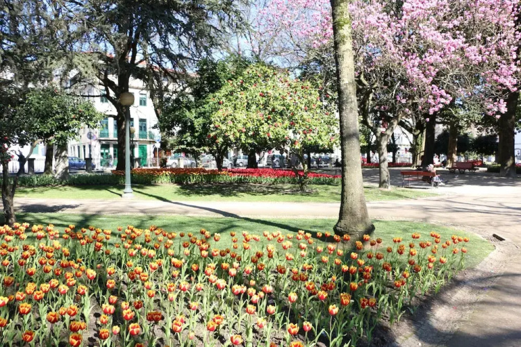 Oporto Invite São Lázaro Charming