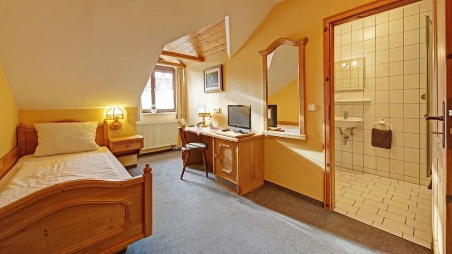 Deluxe Single room