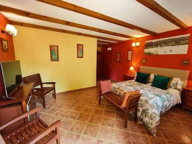 Superior Double room