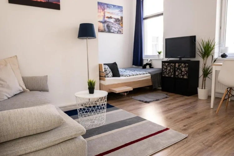 1 Bedroom Apartment