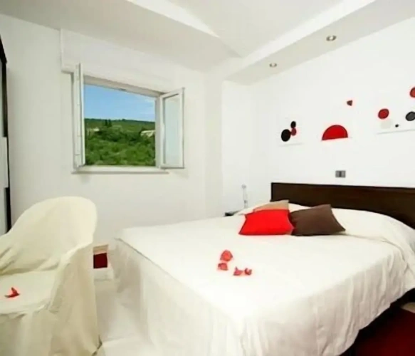 Comfort Suite