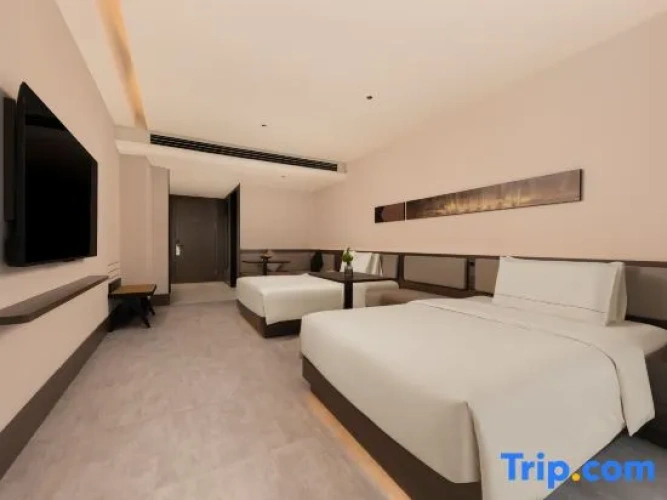Executive Twin room with city view