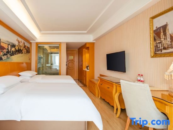 Standard Twin room with city view