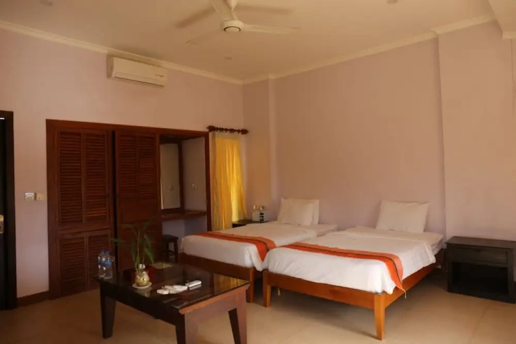 Deluxe Twin room with view
