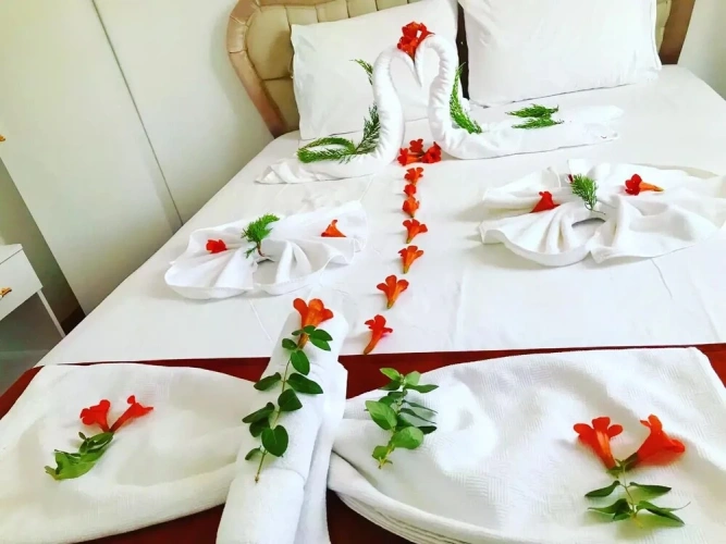 Single Suite