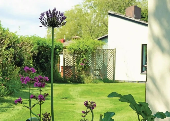 2 Bedrooms Cottage